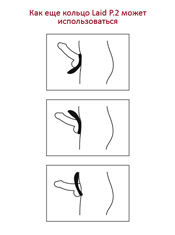 Laid P.2 Laid P.2