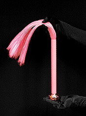 Shiri Zinn Couture Whip 2 Shiri Zinn Couture Whip 2