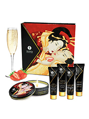 Набор Shunga «Секрет Гейши»
